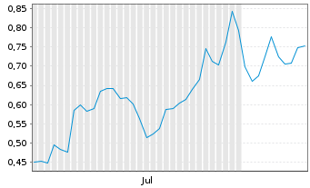 Chart Mini Future Long NVIDIA - 6 Monate