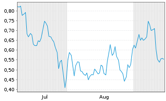 Chart Mini Future Short NVIDIA - 6 Monate