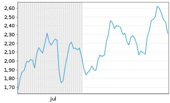 Chart Mini Future Long Tesla - 6 Monate