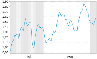 Chart Mini Future Long Tesla - 6 Monate