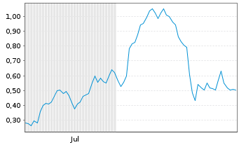 Chart Mini Future Long Palantir - 6 Months