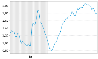 Chart Mini Future Long Volkswagen - 6 Monate