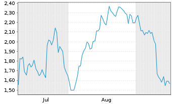 Chart Mini Future Long BMW - 6 Monate