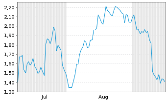 Chart Mini Future Long BMW - 6 Monate