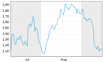 Chart Mini Future Long BMW - 6 Monate