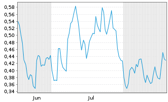 Chart Mini Future Long Duerr - 6 Monate