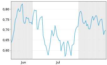 Chart Mini Future Short Duerr - 6 Monate