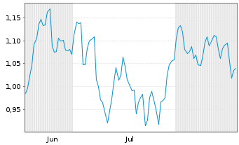 Chart Mini Future Short Duerr - 6 Monate