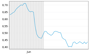 Chart Mini Future Short Indus Holding - 6 Monate