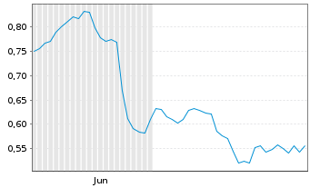 Chart Mini Future Short Indus Holding - 6 Monate