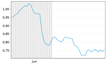 Chart Mini Future Short Indus Holding - 6 Monate