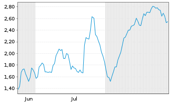 Chart Mini Future Long Volkswagen - 6 Monate