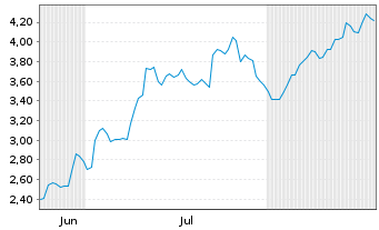 Chart Mini Future Long BMW - 6 Monate