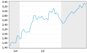 Chart Mini Future Long BMW - 6 Monate