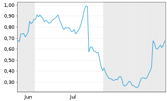 Chart Mini Future Long Puma - 6 Months