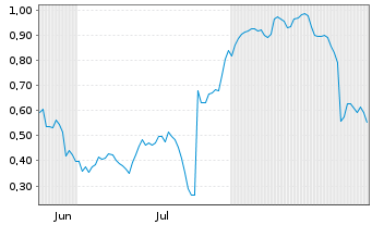 Chart Mini Future Short Puma - 6 Months