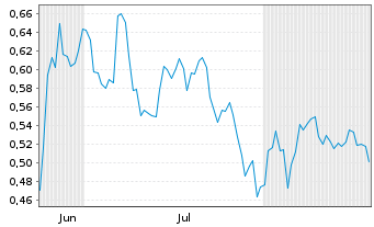 Chart Mini Future Short Shell - 6 Monate
