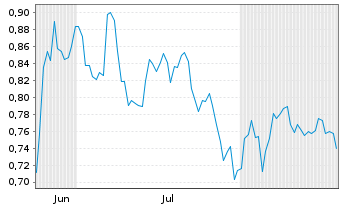 Chart Mini Future Short Shell - 6 Monate