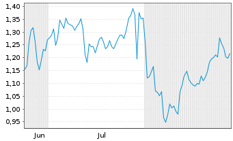 Chart Mini Future Long Visa - 6 Monate