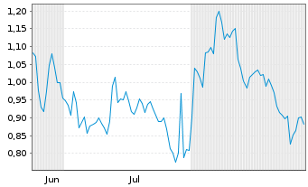 Chart Mini Future Short Visa - 6 Monate