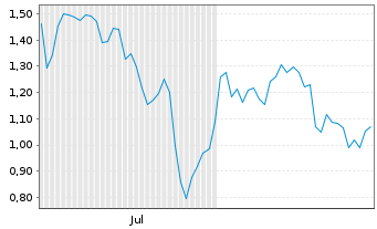 Chart Mini Future Short Nike - 6 Monate