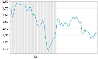 Chart Mini Future Short Nike - 6 Monate
