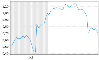 Chart Mini Future Short Puma - 6 Months