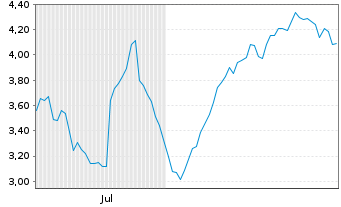 Chart Mini Future Long Volkswagen - 6 Monate