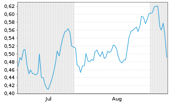 Chart Mini Future Long Chevron - 6 Monate