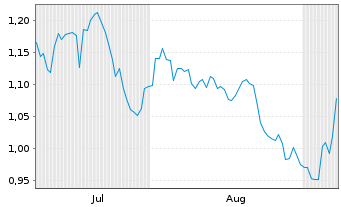 Chart Mini Future Short Chevron - 6 Monate
