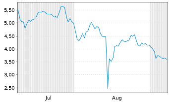 Chart Mini Future Long Adyen - 6 Monate