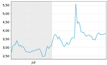 Chart Mini Future Short Adyen - 6 Monate
