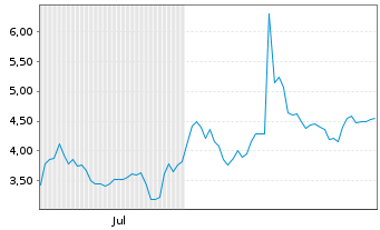 Chart Mini Future Short Adyen - 6 Monate