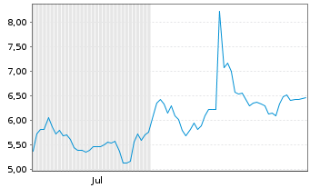 Chart Mini Future Short Adyen - 6 Monate