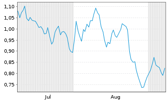 Chart Mini Future Short Carnival - 6 Monate
