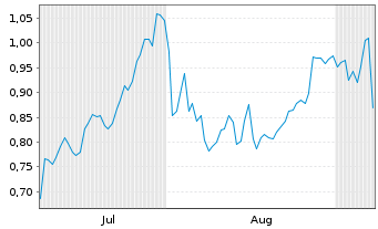 Chart Mini Future Long JPMorgan Chase - 6 Monate