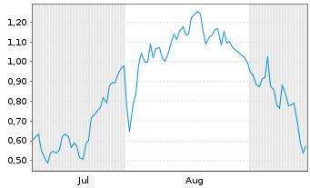 Chart Mini Future Long 2G Energy - 6 Months