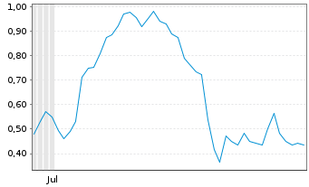 Chart Mini Future Long Palantir - 6 Months