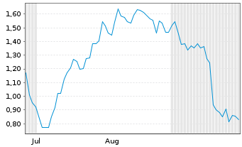 Chart Mini Future Long BMW - 6 Monate