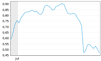 Chart Mini Future Short Puma - 6 Months