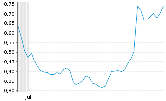 Chart Mini Future Long Puma - 6 Months
