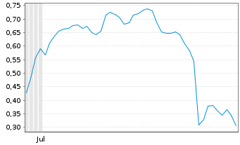 Chart Mini Future Short Puma - 6 Months