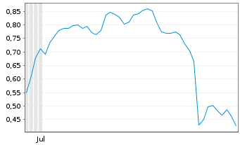 Chart Mini Future Short Puma - 6 Months