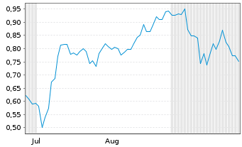 Chart Mini Future Long BP PLC - 6 Monate