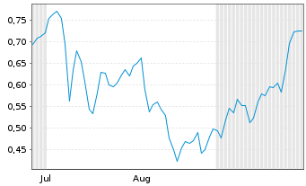 Chart Mini Future Short Hexatronic Group - 6 Monate