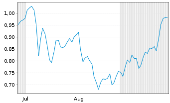 Chart Mini Future Short Hexatronic Group - 6 Monate