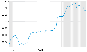 Chart Mini Future Short Redcare Pharmacy - 6 Months