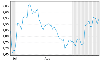 Chart Mini Future Short Visa - 6 Months