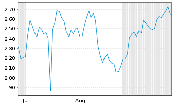 Chart Mini Future Short Block - 6 Monate