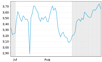 Chart Mini Future Short Block - 6 Monate